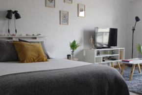 Bright & Cozy Apart near City Center, Caballito